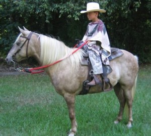 Виргинская горная лошадь с маленьким наездником, фото