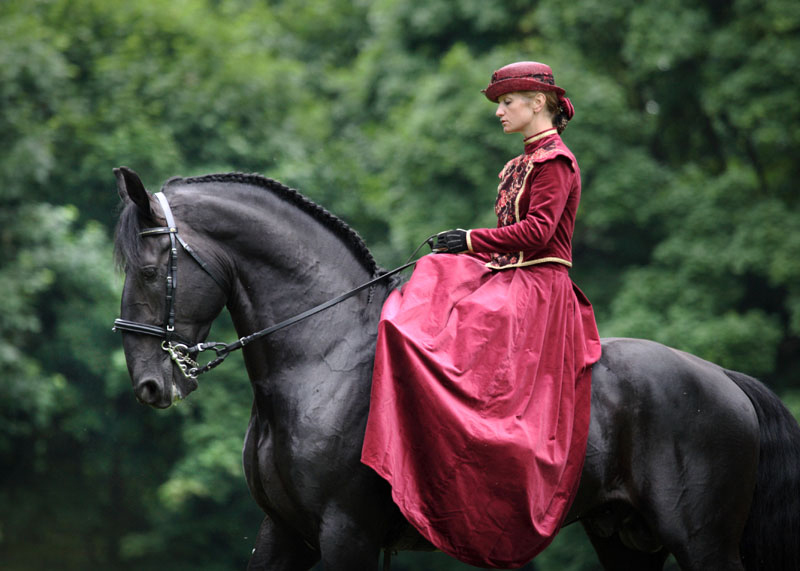 Кладрубская лошадь с наездницей, фото