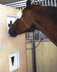 Способна ли лошадь опознавать перевёрнутые предметы?