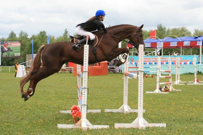  Различия в физической подготовке конкурной и выездковой лошади