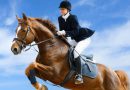 Шпора и хлыст — для дополнительного управления лошадью