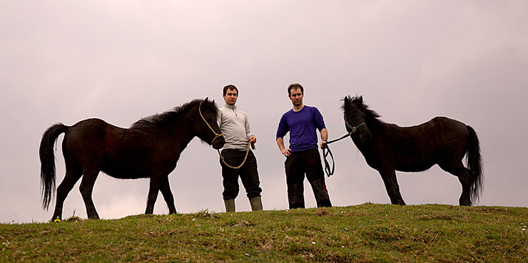 Баскские пони с наездниками, фото