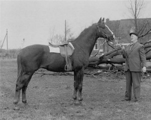Гронингенская лошадь в стародавние времена, фото