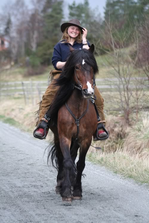 Гудбрансдальская упряжная лошадь с наездницей, фото