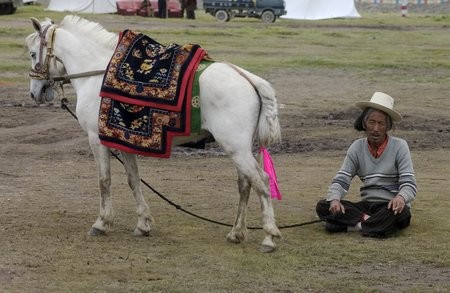 Тибетский пони с хозяином, фото
