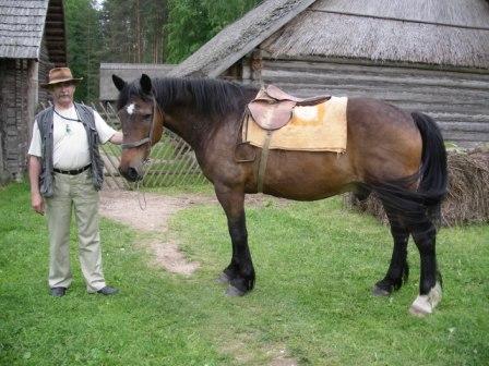Эстонская лошадь с хозяином, фото