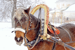 тяговое усилие лошади из хомута передается на повозку или орудие
