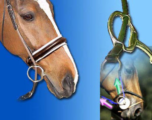 Разновидность и особенности трензелей для лошади