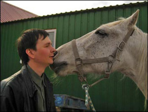 Как научить лошадь целоваться