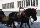 Поэтапное изготовление дуги для лошади