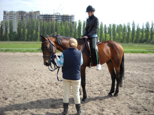 Как научиться ездить на лошади с минимальным риском. Катание верхом и правильная седловка лошади